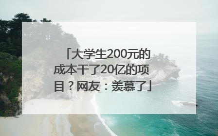 大学生200元的成本干了20亿的项目？网友：羡慕了