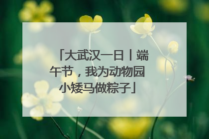 大武汉一日丨端午节，我为动物园小矮马做粽子