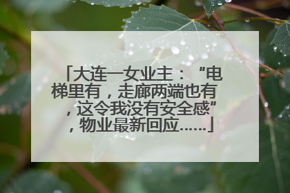 大连一女业主：“电梯里有，走廊两端也有，这令我没有安全感”，物业最新回应……