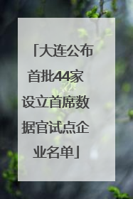 大连公布首批44家设立首席数据官试点企业名单