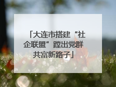 大连市搭建“社企联盟”蹚出党群共富新路子