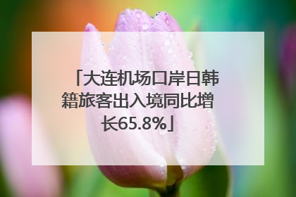 大连机场口岸日韩籍旅客出入境同比增长65.8%