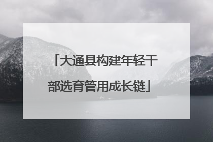 大通县构建年轻干部选育管用成长链