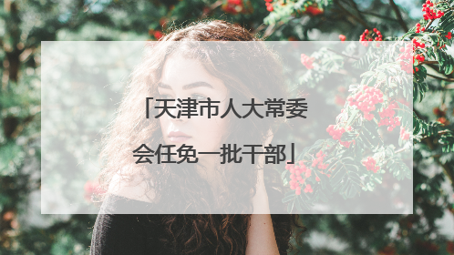 天津市人大常委会任免一批干部