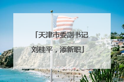 天津市委副书记刘桂平，添新职