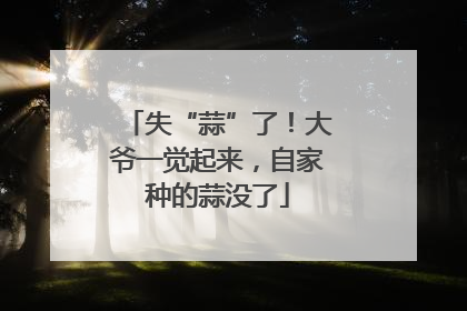 失“蒜”了！大爷一觉起来，自家种的蒜没了