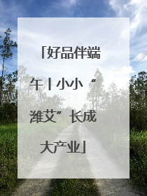 好品伴端午丨小小“潍艾”长成大产业