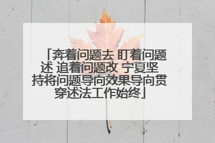 奔着问题去 盯着问题述 追着问题改 宁夏坚持将问题导向效果导向贯穿述法工作始终