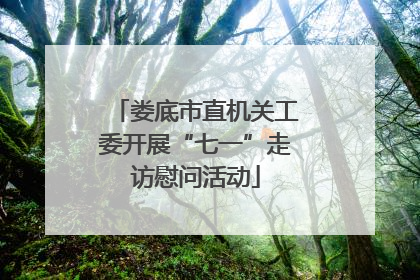娄底市直机关工委开展“七一”走访慰问活动