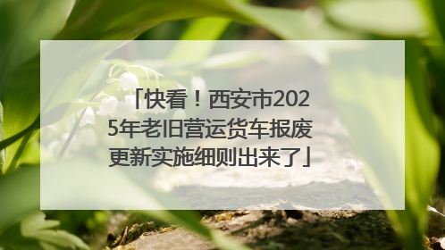 快看！西安市2025年老旧营运货车报废更新实施细则出来了