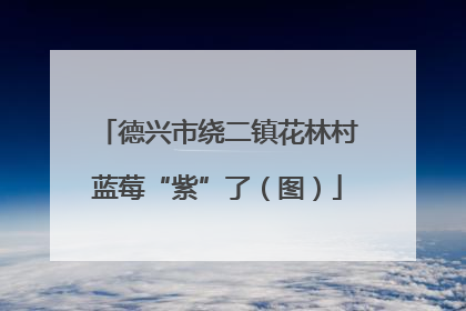 德兴市绕二镇花林村蓝莓“紫”了（图）