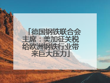 德国钢铁联合会主席：美加征关税给欧洲钢铁行业带来巨大压力