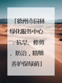 德州市园林绿化服务中心：抗旱、修剪、防治，精细养护保绿荫