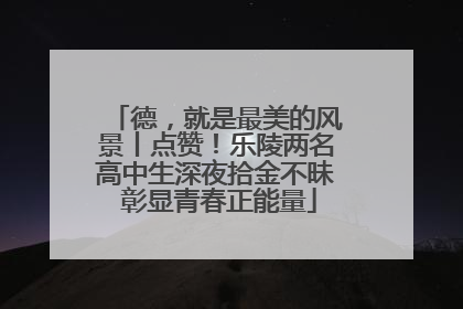 德，就是最美的风景丨点赞！乐陵两名高中生深夜拾金不昧 彰显青春正能量