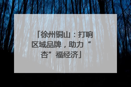 徐州铜山：打响区域品牌，助力“杏”福经济