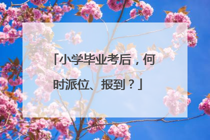 小学毕业考后，何时派位、报到？