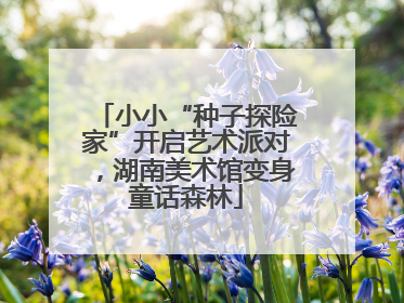 小小“种子探险家”开启艺术派对，湖南美术馆变身童话森林