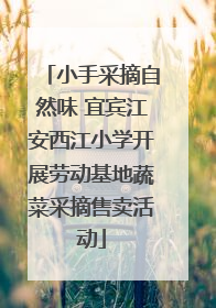 小手采摘自然味 宜宾江安西江小学开展劳动基地蔬菜采摘售卖活动