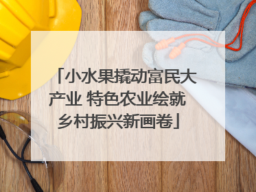 小水果撬动富民大产业 特色农业绘就乡村振兴新画卷