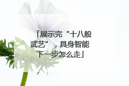 展示完“十八般武艺”，具身智能下一步怎么走