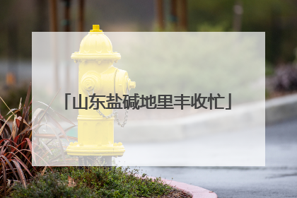 山东盐碱地里丰收忙