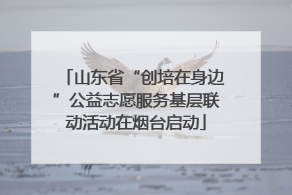 山东省“创培在身边”公益志愿服务基层联动活动在烟台启动