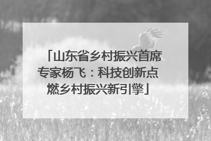 山东省乡村振兴首席专家杨飞：科技创新点燃乡村振兴新引擎
