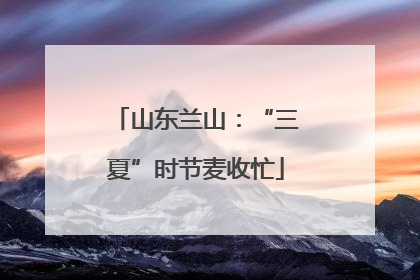 山东兰山：“三夏”时节麦收忙