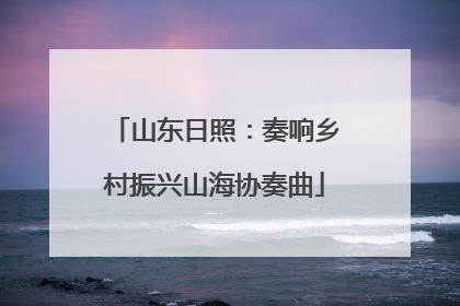 山东日照：奏响乡村振兴山海协奏曲