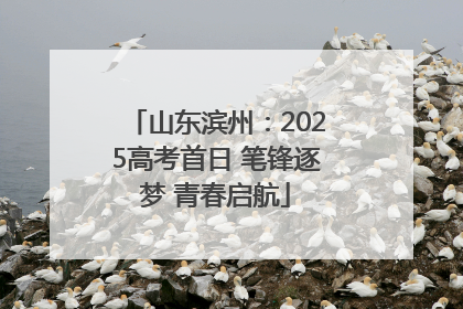 山东滨州：2025高考首日 笔锋逐梦 青春启航