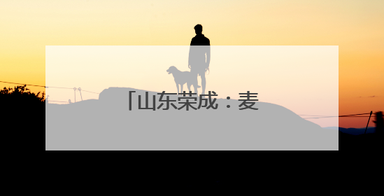 山东荣成：麦浪翻金抢收忙