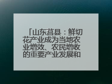 山东莒县：鲜切花产业成为当地农业增效、农民增收的重要产业发展和特色品牌