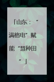 山东：“满格电”赋能“慧种田”