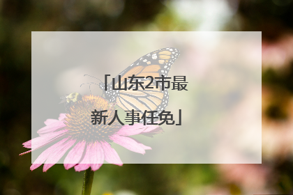 山东2市最新人事任免