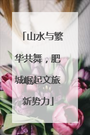 山水与繁华共舞，肥城崛起文旅新势力