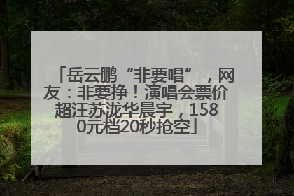 岳云鹏“非要唱”，网友：非要挣！演唱会票价超汪苏泷华晨宇，1580元档20秒抢空