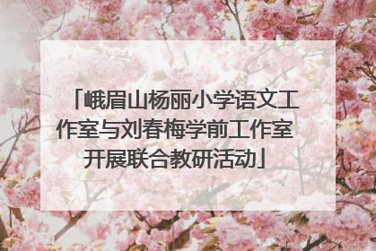 峨眉山杨丽小学语文工作室与刘春梅学前工作室开展联合教研活动