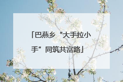 巴燕乡“大手拉小手”同筑共富路