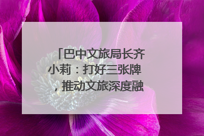 巴中文旅局长齐小莉：打好三张牌，推动文旅深度融合｜文旅局长说