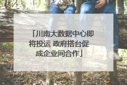 川南大数据中心即将投运 政府搭台促成企业间合作