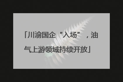 川渝国企“入场”，油气上游领域持续开放