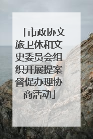 市政协文旅卫体和文史委员会组织开展提案督促办理协商活动