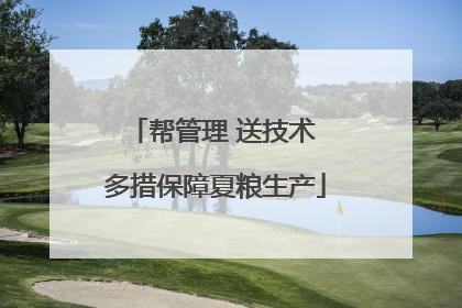 帮管理 送技术 多措保障夏粮生产