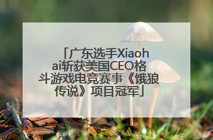 广东选手Xiaohai斩获美国CEO格斗游戏电竞赛事《饿狼传说》项目冠军