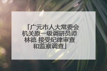 广元市人大常委会机关原一级调研员谭林德 接受纪律审查和监察调查