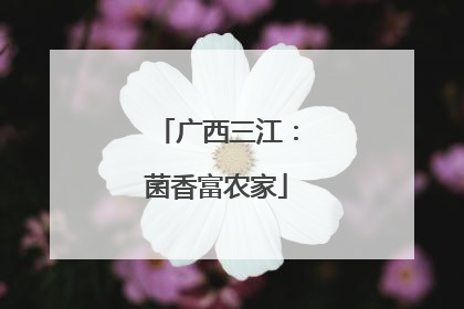 广西三江：菌香富农家