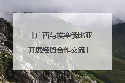 广西与埃塞俄比亚开展经贸合作交流