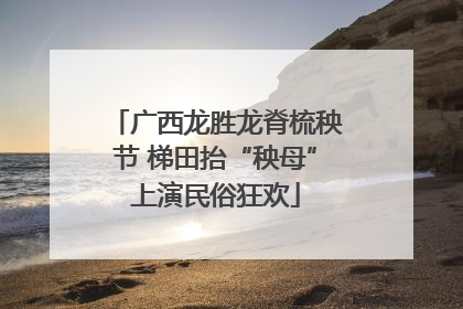 广西龙胜龙脊梳秧节 梯田抬“秧母”上演民俗狂欢