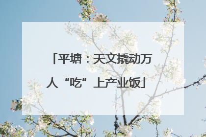 平塘：天文撬动万人“吃”上产业饭