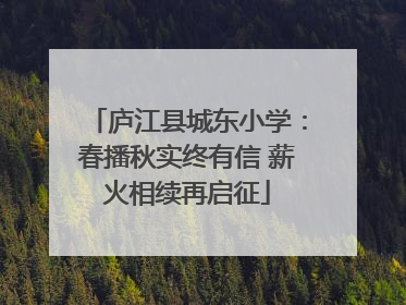 庐江县城东小学：春播秋实终有信 薪火相续再启征